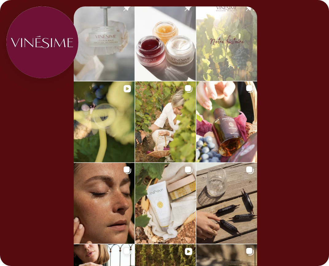 feed-vinesimes